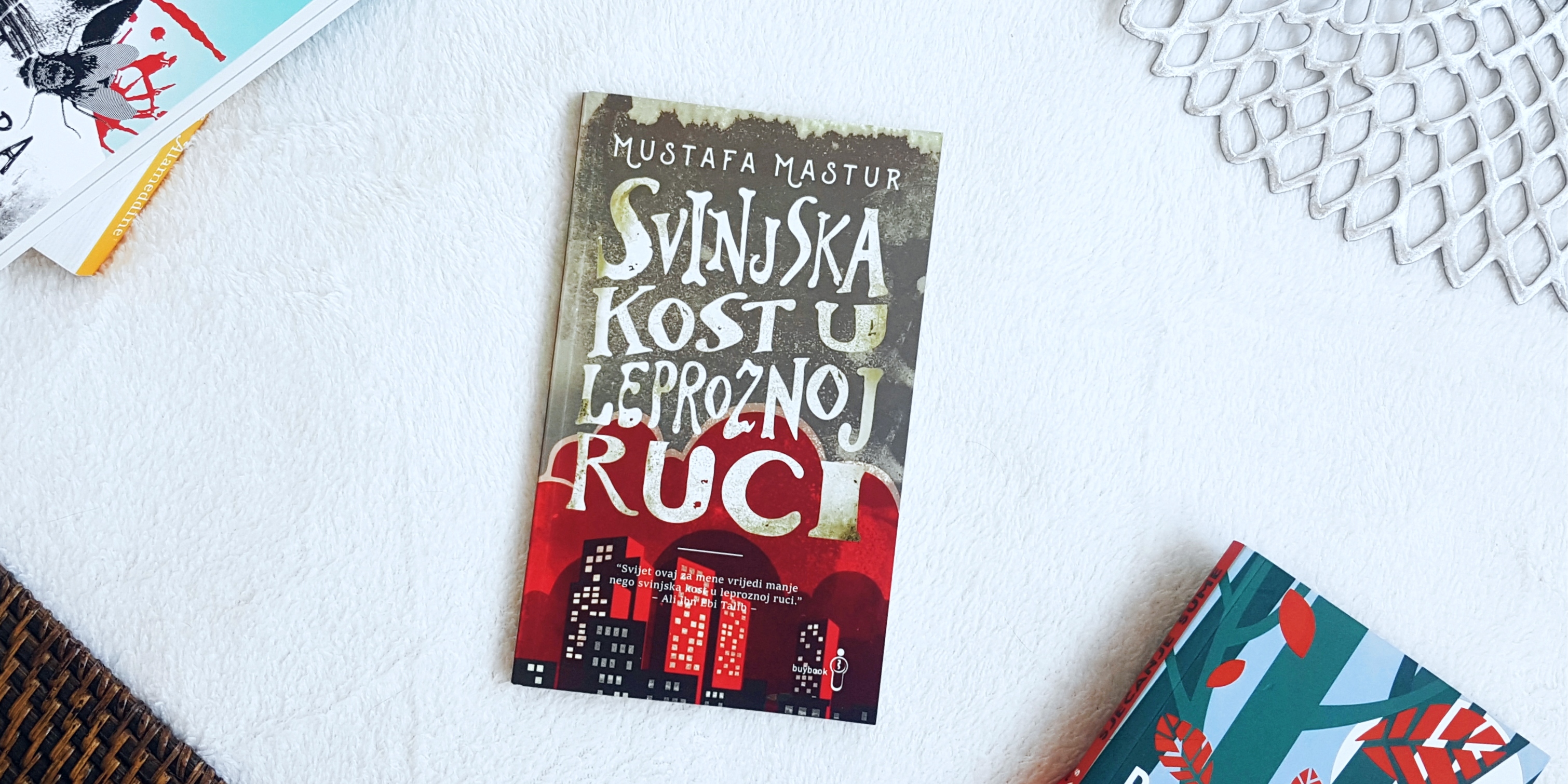 20180912_114845 (1) (1).jpg